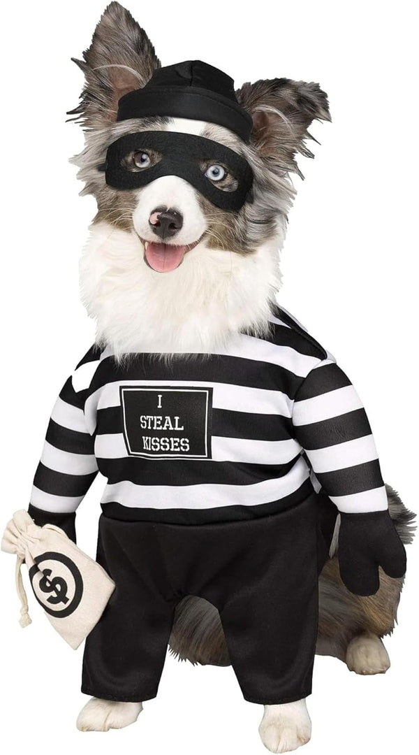 Robber Pup Costume for Pets