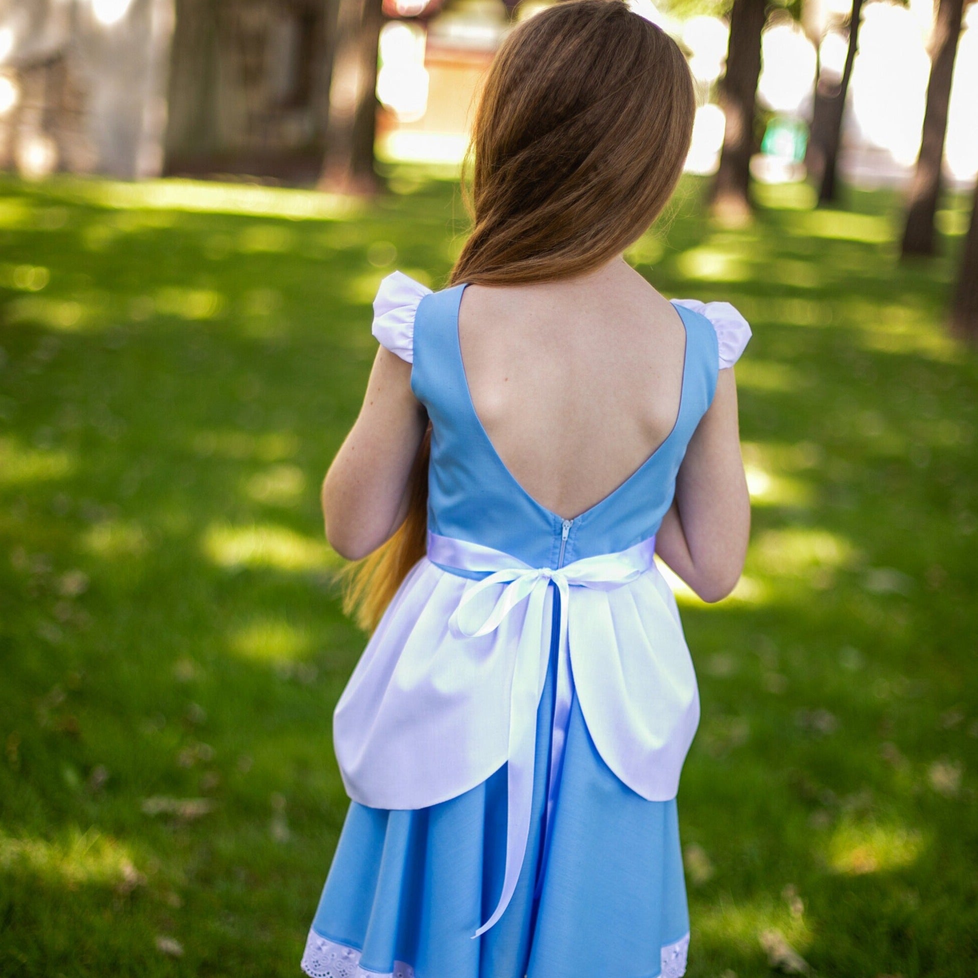 Cinderella Party Dress, Fairytale Princess Costume